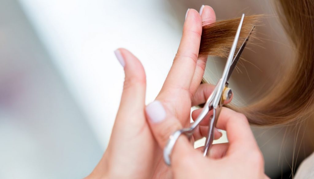 cut-extensions